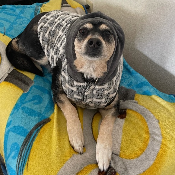 Meet your Posher, James - Picture 1 of 1